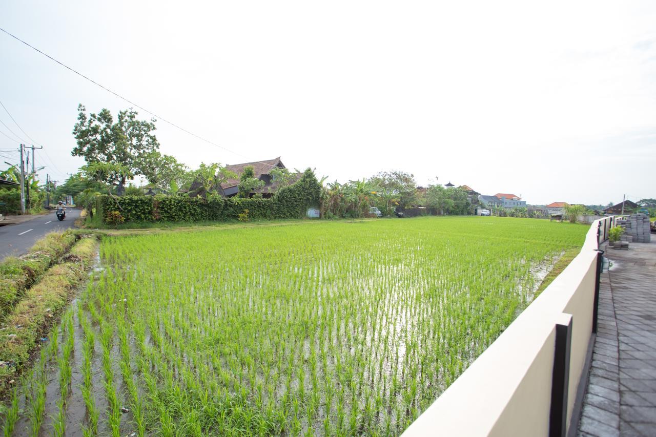 V Canggu Dormitory Ngoại thất bức ảnh